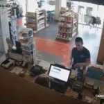 Ηλεία - Υπόθεση Γκολφίνου: Νέα στοιχεία για τον θάνατο του 46χρονου - Το «μυστικό» του δάσους Κουνουπελίου