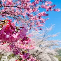 Καιρός: Ανοιξη τέλος από την Πρωτομαγιά, η πρόγνωσ