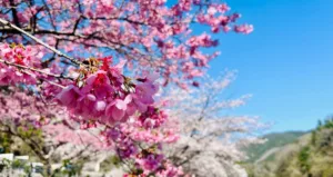 Καιρός: Ανοιξη τέλος από την Πρωτομαγιά, η πρόγνωσ