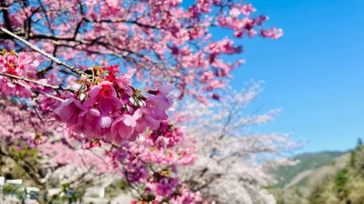 Καιρός: Ανοιξη τέλος από την Πρωτομαγιά, η πρόγνωση