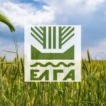 ΕΛΓΑ: Ξεκίνησε η καταγραφή των ζημιών στις καλλιέργειες μετά την κακοκαιρία