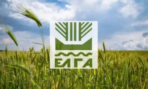 ΕΛΓΑ: Πότε ξεκινά η καταβολή αποζημιώσεων για τις ζημιές του 2025