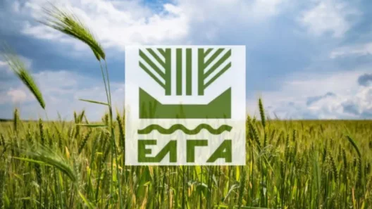 Αποζημιώσεις ΕΛΓΑ: Πληρωμές για ζημιές του 2025 – Η απαραίτητη προϋπόθεση