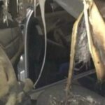 Πάτρα: Ο εμπρηστής με το σκούτερ και το απούλητο πολυτελές όχημα ΦΩΤΟ