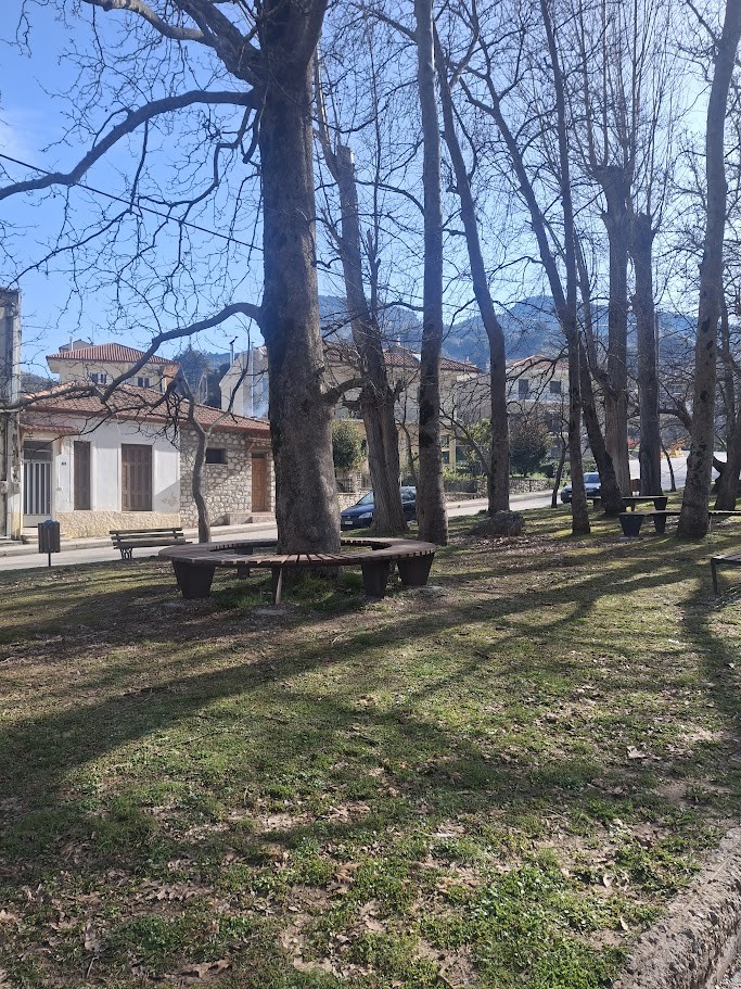 Καλάβρυτα: Φυτικός και αθλητικός εξοπλισμός για αναβάθμιση κοινόχρηστων χώρων ΦΩΤΟ