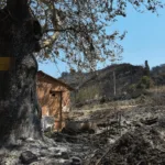 Αχαΐα: Eπιπτώσεις σε υγεία, νερό, περιβάλλον μετά τις φωτιές του Αυγούστου - Ερευνα από Πανεπιστήμιο και Δημόκριτο