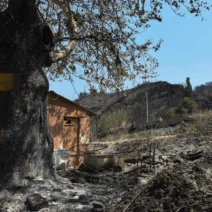 Αχαΐα: Eπιπτώσεiς σε υγεία, νερό, περιβάλλον μετά τις φωτιές του Αυγούστου - Ερευνα από Πανεπιστήμιο και Δημόκριτο