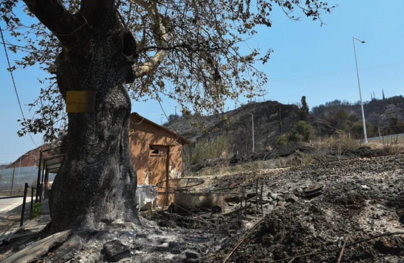 Αχαΐα: Eπιπτώσεις σε υγεία, νερό, περιβάλλον μετά τις φωτιές του Αυγούστου - Ερευνα από Πανεπιστήμιο και Δημόκριτο