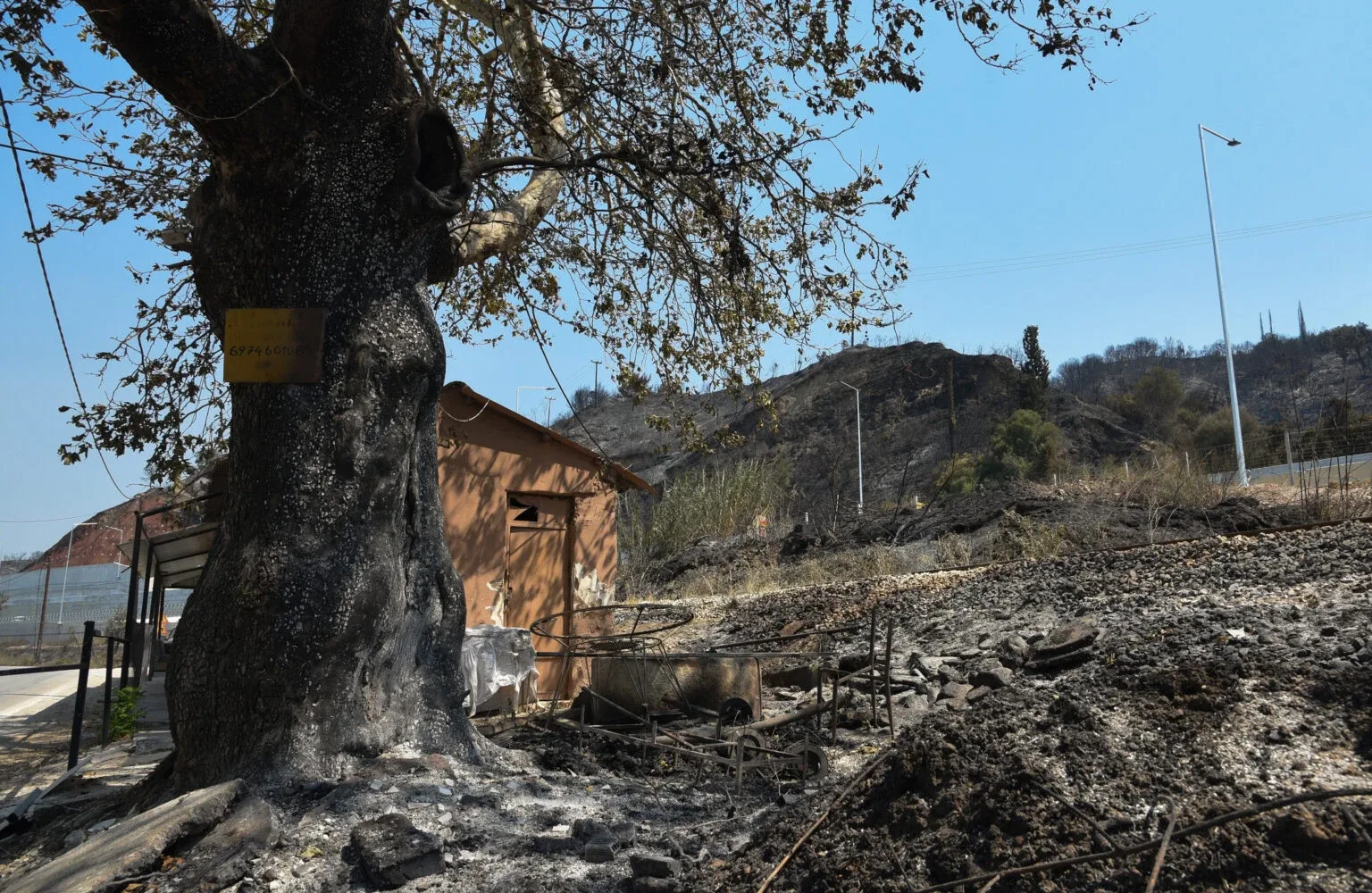 Αχαΐα: Eπιπτώσεις σε υγεία, νερό, περιβάλλον μετά τις φωτιές του Αυγούστου – Ερευνα από Πανεπιστήμιο και Δημόκριτο