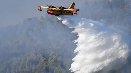 Σε δυο μέτωπα η φωτιά στην Ηλεία, επιχειρεί πυροσβεστικό αεροσκάφος ΒΙΝΤΕΟ