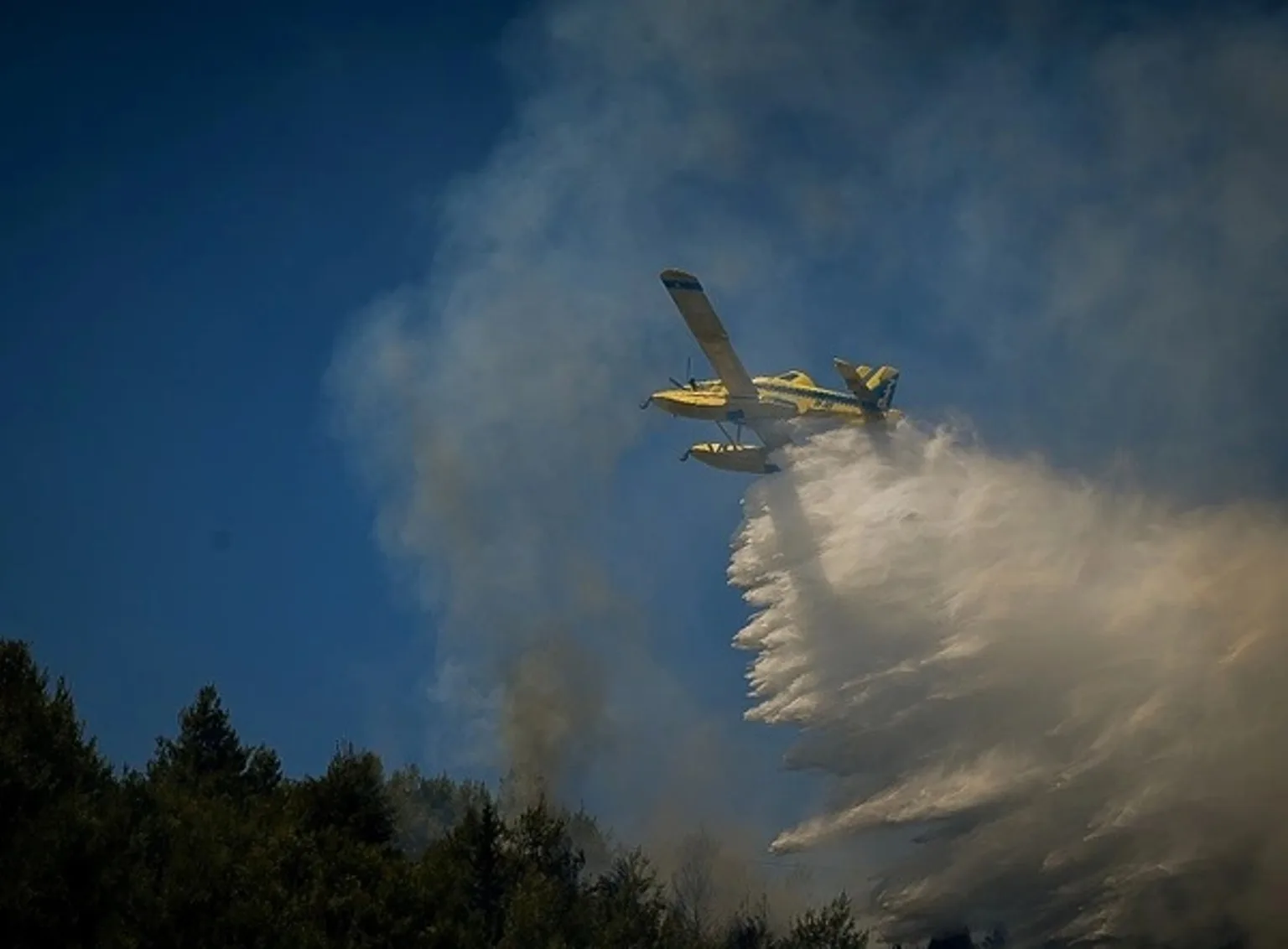 Φωτιά στην Ηλεία, σηκώθηκε αεροσκάφος