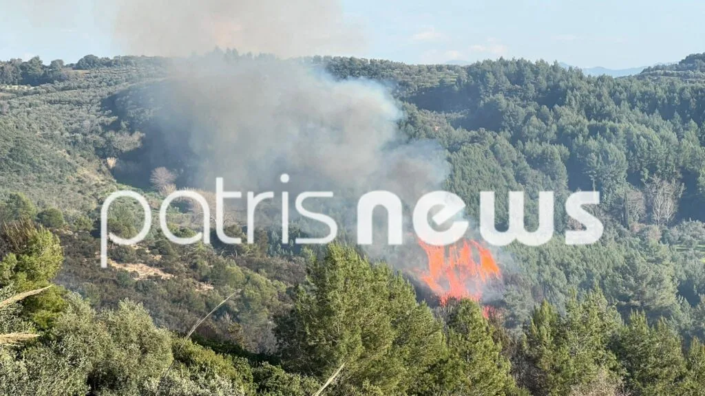 Σε δυο μέτωπα η φωτιά στην Ηλεία, επιχειρεί πυροσβεστικό αεροσκάφος ΒΙΝΤΕΟ 29 Σε δυο μέτωπα η φωτιά στην Ηλεία, επιχειρεί πυροσβεστικό αεροσκάφος ΒΙΝΤΕΟ