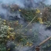 Αχαΐα: Τον «έκαψε» το κάψιμο στην ύπαιθρο