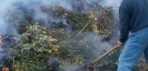 Αχαΐα: Τον «έκαψε» το κάψιμο στην ύπαιθρο