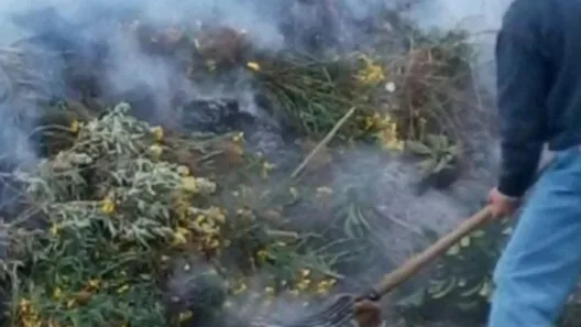 Πάτρα-Αίγιο: Η φωτιά σε ξερόχορτα τους «έκαψε» - Βαριά πρόστιμα - Γεγονός η πρώτη σύλληψη