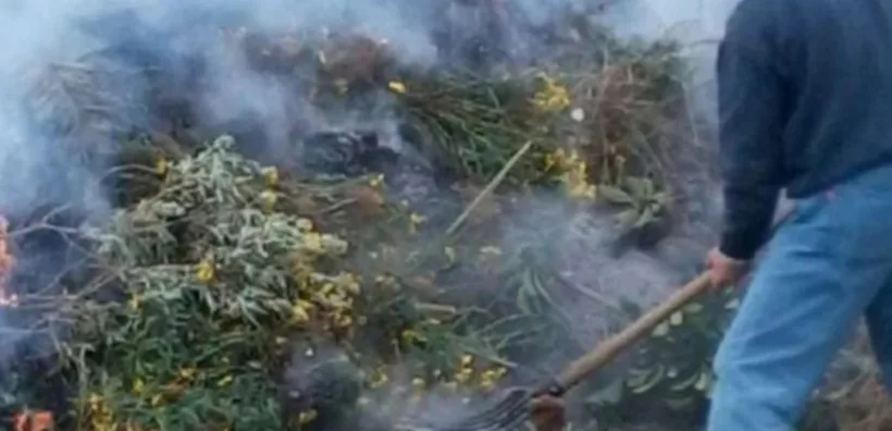 Αχαΐα: Τον «έκαψε»...το κάψιμο στην ύπαιθρο 24 Αχαΐα: Τον «έκαψε»...το κάψιμο στην ύπαιθρο