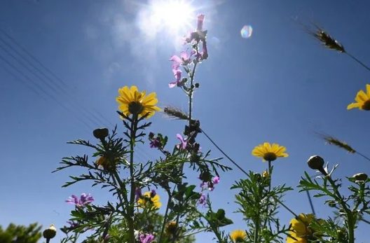 Καιρός: Ο Μάρτης δεν είναι... «γδάρτης» το πρώτο δεκαήμερο, πρόβλεψη Κολυδά