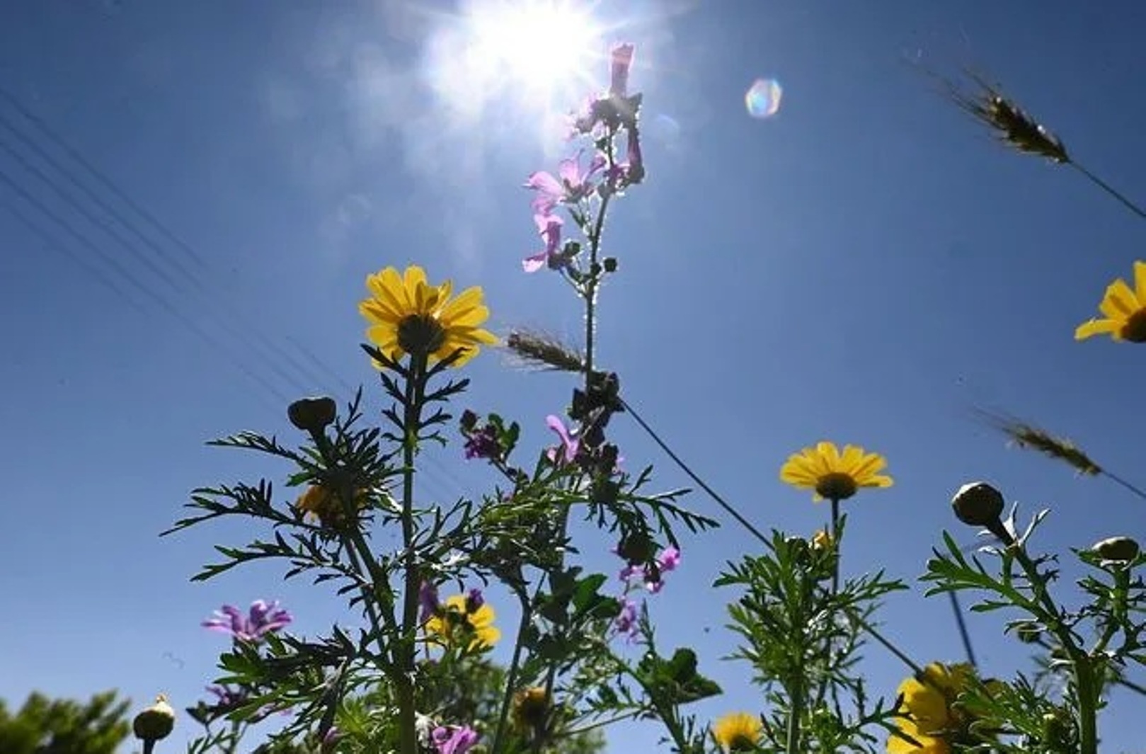 Καιρός: Ο Μάρτης δεν είναι… «γδάρτης» το πρώτο δεκαήμερο, πρόβλεψη Κολυδά