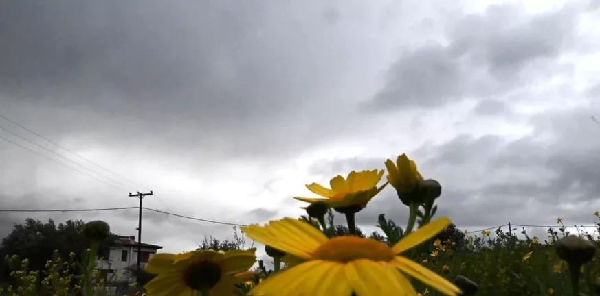 Αχαΐα: Ανοιξιάτικος ο καιρός, ψηλά οι θερμοκαρσίες στην περιοχή