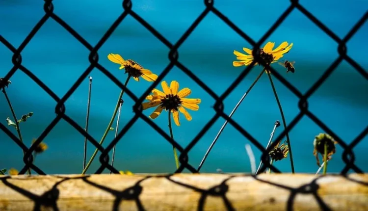 Αχαΐα: Σταθερά ανοιξιάτικος, σήμερα, ο καιρός – Πότε αλλάζει