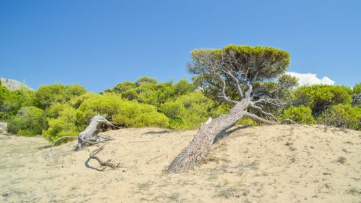 Πάτρα: Εξελίξεις στην υπόθεση παραχώρησης δημόσιου παραλιακού τμήματος της Καλόγριας ιδιώτη