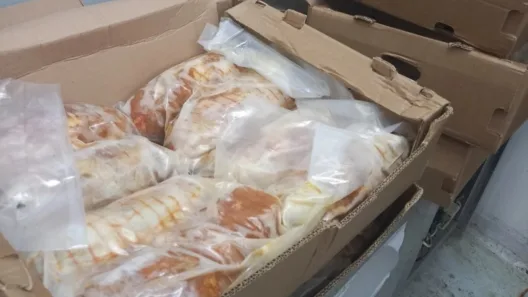 Πειραιάς: Κατάσχεση 3,5 τόνων ακατάλληλων κρεάτων και αλιευματών, αρνήθηκε τον έλεγχο επιχειρηματίας, προμήθευε και νοσοκομεία ΦΩΤΟ