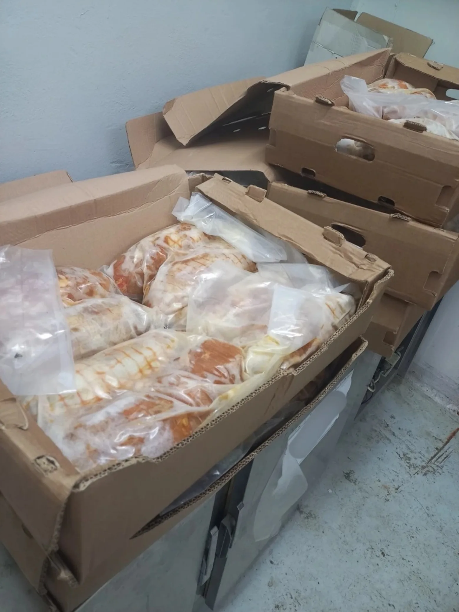 Πειραιάς: Κατάσχεση 3,5 τόνων ακατάλληλων κρεάτων και αλιευματών, αρνήθηκε τον έλεγχο επιχειρηματίας, προμήθευε και νοσοκομεία ΦΩΤΟ