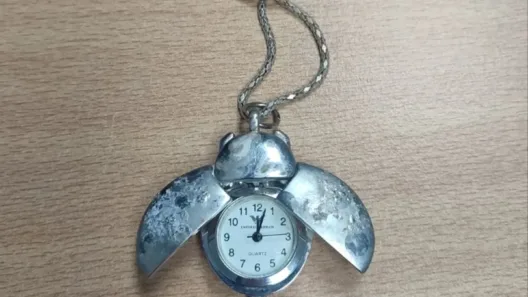 Πύργος: Εκρυψε σε δένδρο κοσμήματα αξίας 50.000 ευρώ ΦΩΤΟ