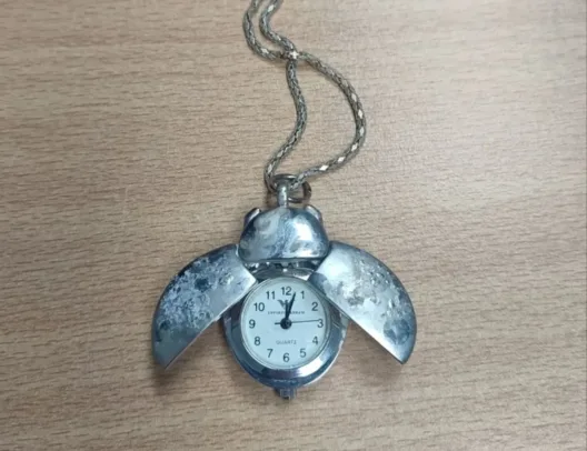 Πύργος: Εκρυψε σε δένδρο κοσμήματα αξίας 50.000 ευρώ ΦΩΤΟ