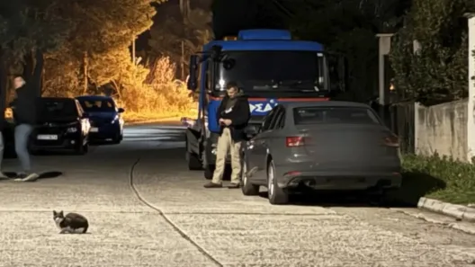 Πυροβολισμοί Νέα Μάκρη: Προσαγωγές και συλλήψεις Τούρκων