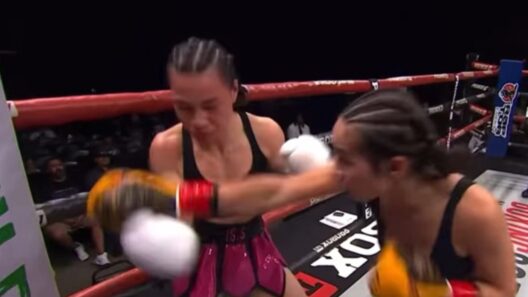 Καλιφόρνια: 19χρονη πυγμάχος σε τεχνητό κώμα μετά από σκληρό νοκ άουτ ΒΙΝΤΕΟ