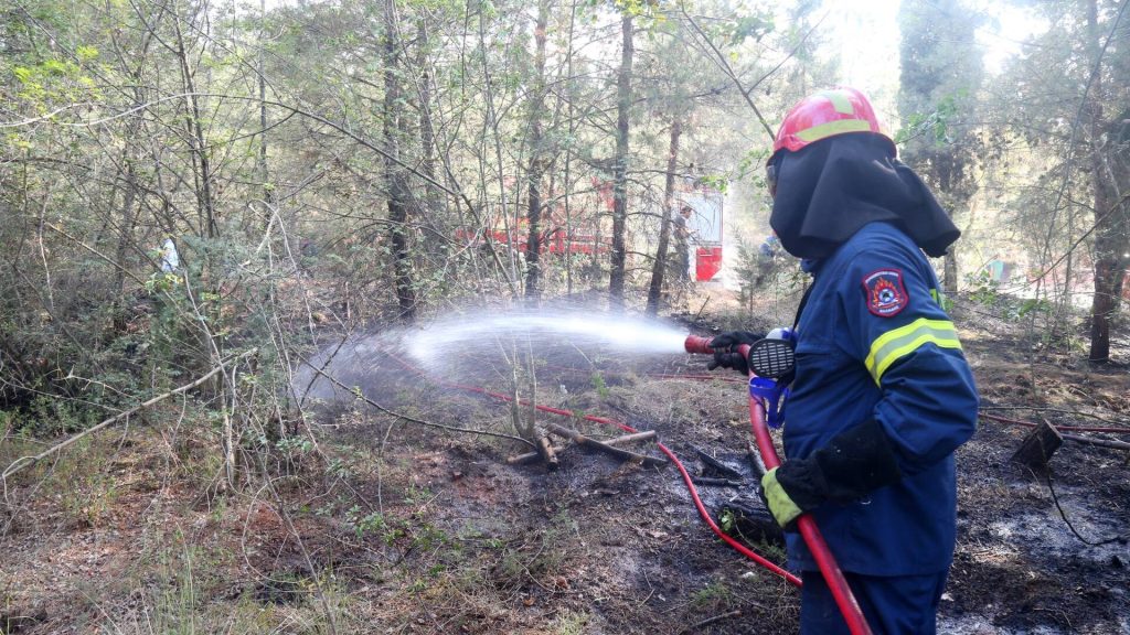 Κορινθία: Φωτιά στο Σούλι