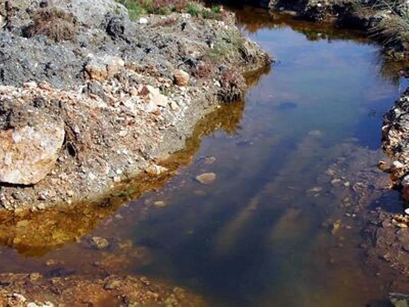 Αχαΐα: Ποιος μόλυνε τον ποταμό Σελινούντα; – Διαμάχη Περιβαλλοντικού με ΠΕΣ και στη μέση η Περιφέρεια ΦΩΤΟ