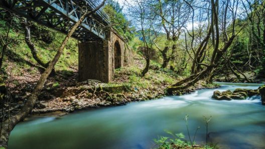 Ημερίδα της Περιφέρειας για έργα στον ποταμό του Βουραϊκού
