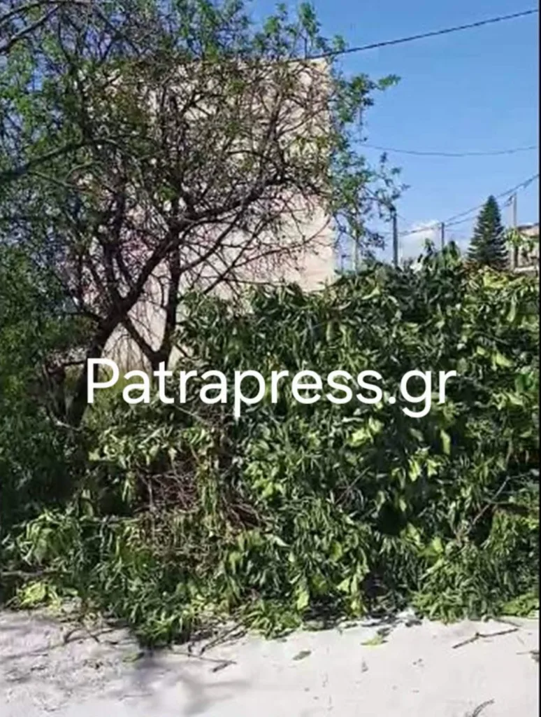 Μπεγουλάκι Πατρών: Αφήνουν σκουπίδια και μπάζα σε σπίτι - Ανάστατη μια γειτονιά ΒΙΝΤΕΟ- ΦΩΤΟ