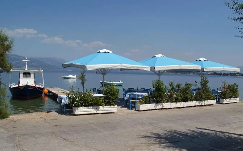 Πάτρα: Απεβίωσε ο ιδιοκτήτης της ταβέρνας «Σταθάκος» Γιάννης Παπαχριστόπουλος ΦΩΤΟ 29 Πάτρα: Απεβίωσε ο ιδιοκτήτης της ταβέρνας «Σταθάκος» Γιάννης Παπαχριστόπουλος ΦΩΤΟ