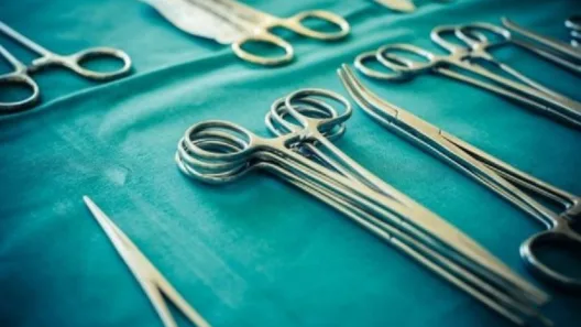 Χειρουργικό ψαλίδι εντοπίστηκε κατά την εκταφή άνδρα στην Εύβοια ΦΩΤΟ