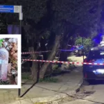 Πεύκη: Παιδιά εντόπισαν οβίδα - Επί τόπου κλιμάκιο εξουδετέρωσης ΒΙΝΤΕΟ