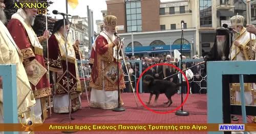 Αίγιο: «Επίθεση» φιλόζωων σε Αμβρόσιο για τον σκύλο στην Τρυπητή ΒΙΝΤΕΟ