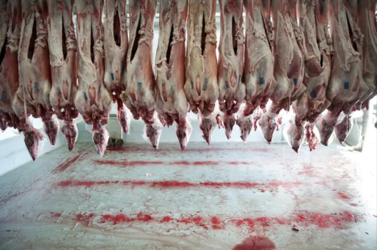 ΑΠΟΚΛΕΙΣΤΙΚΟ-Αχαΐα: Παρανομίες σε Σφαγεία εν όψει Πάσχα - Παραποιημένα χαρτιά λόγω ευλογιάς - Ενημερώθηκαν ΕΛΑΣ και ΑΑΔΕ