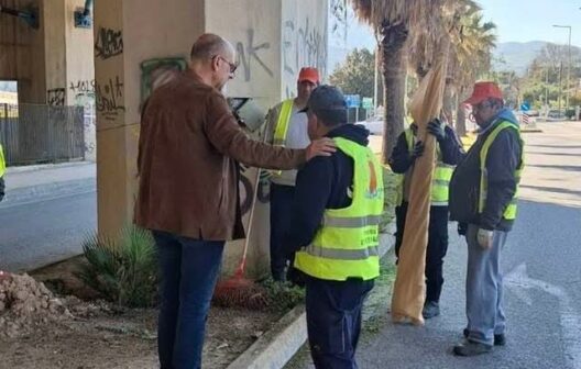 Πάτρα: Ευπρεπισμός νησίδων στους δρόμους από την Περιφέρεια ΦΩΤΟ