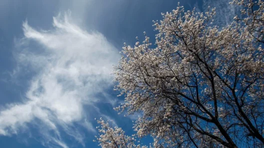Αχαΐα: Καλός και χωρίς μεταβολές ο καιρός
