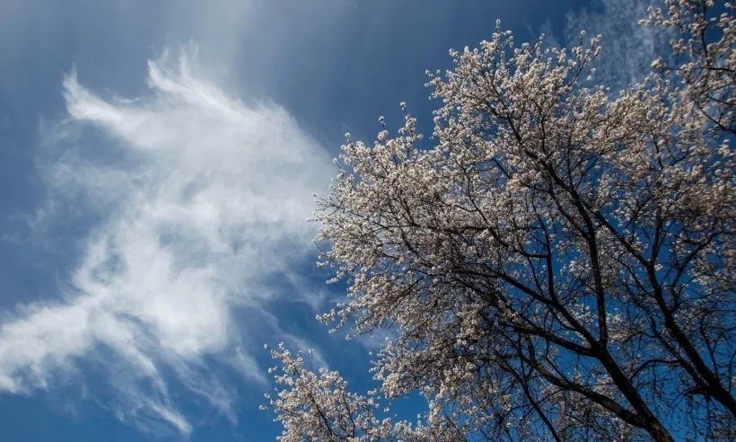 Αχαΐα: Καλός και χωρίς μεταβολές ο καιρός