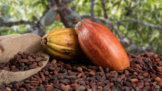 Κραχ στις τιμές του κακάο: Πότε θα δούμε φθηνότερες σοκολάτες στα ράφια της Πάτρας;