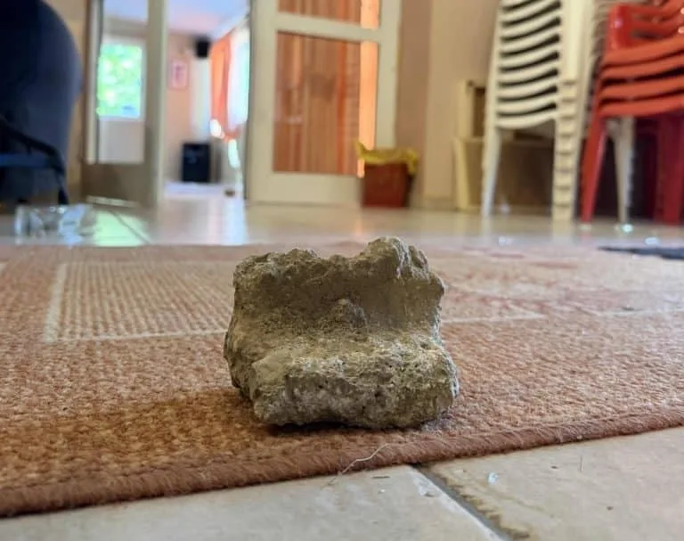 Πάτρα: Βανδαλισμοί σε γραφεία συλλόγου - Τα έσπασαν και έγραψαν συνθήματα κατά των Αστυνομικών ΦΩΤΟ