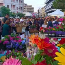 Μέρες Μαγιού στην πλατεία Υψηλών Αλωνίων, στην Πάτρα