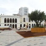 Μεγάλη ελιά στο κέντρο της Πάτρας για την Πρωτομαγιά ΦΩΤΟ