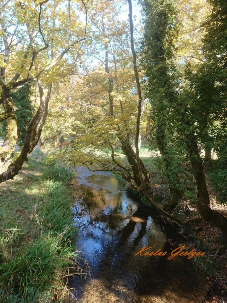 Καλάβρυτα: Νέα πρότζεκτ για Κάνισκα, Ειρηνοδικείο, Μαθητική Εστία, Λάδωνα - Οι μελέτες στο Patrapress.gr