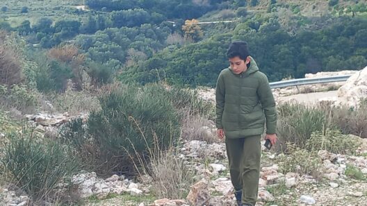 Καταρράκτης Αχαΐας: Νεαρός ερασιτέχνης γεωλόγος βρήκε περίεργα πετρώματα ΦΩΤΟ