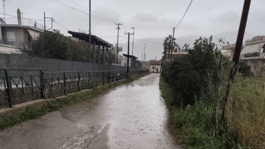 Παραλία Πατρών: Τα παιδιά σκαρφαλώνουν στα κάγκελα του τρένου για το σχολείο ΦΩΤΟ